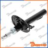 Amortisseur de suspension avant pour RENAULT | A-RE-003, 16-266230005